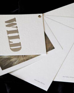 Mad_paper-distribuzione-supporti-stampa-dopostampa-gruppo-cordenons-wild
