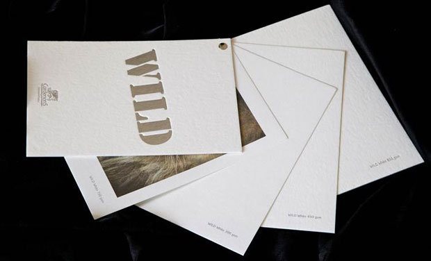 Mad_paper-distribuzione-supporti-stampa-dopostampa-gruppo-cordenons-wild