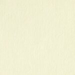 madpaper-distribuzione-supporti-stampa-dopostampa-gruppo-cordenons-dali-camoscio-495x390-min