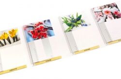 madpaper-distribuzione-supporti-stampa-dopostampa-gruppo-cordenons-iceboard-300x164