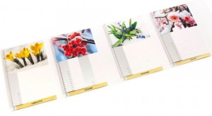 madpaper-distribuzione-supporti-stampa-dopostampa-gruppo-cordenons-iceboard-300x164