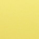 madpaper-distribuzione-supporti-stampa-dopostampa-gruppo-cordenons-malmero-chamois-495x390