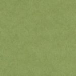 madpaper-distribuzione-supporti-stampa-dopostampa-gruppo-cordenons-wild-natural-green-495x390