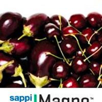 madpaper-distribuzione-supporti-stampa-dopostampa-sappi-magno-plus-gloss