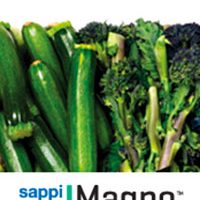 madpaper-distribuzione-supporti-stampa-dopostampa-sappi-magno-plus-silk