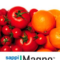MadPaper-distribuzione-supporti-stampa-dopostampa-sappi-magno-volume
